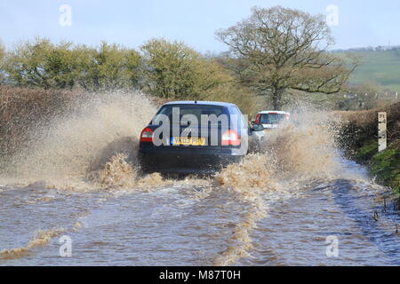 Auto durch überflutete Straße fahren in der Nähe des Flusses Axe in East Devon Stockfoto