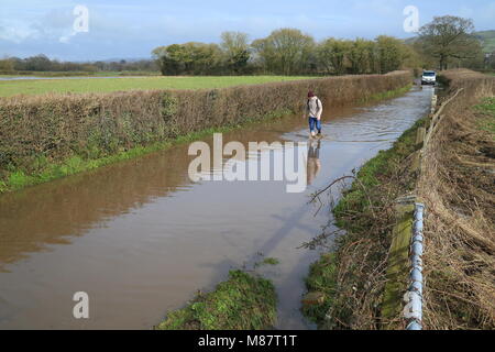 Ein Mann Spaziergänge entlang eine überflutete Straße in Ax Valley, East Devon Stockfoto