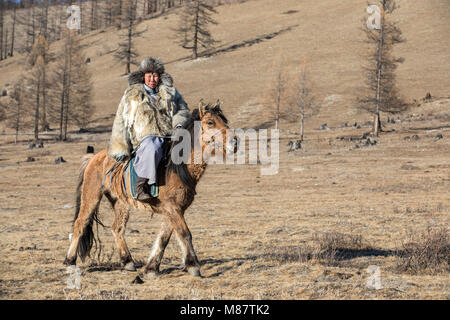 Mongolische Mann mit einem Wolf haut Jacke, reiten sein Pferd in einer Steppe im Norden der Mongolei Stockfoto