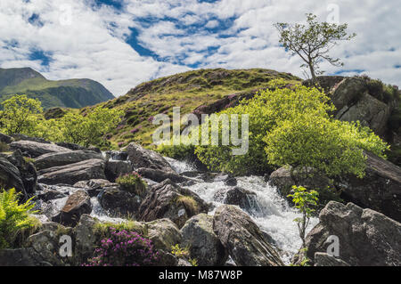 Von Llyn Idwal ein Wasserfall den Berg hinunter läuft bei Cwm Idwal in der Nant Ffrancon Tal. Stockfoto