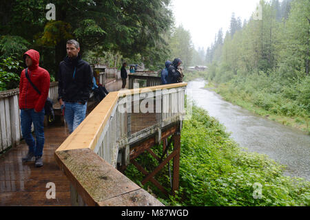 Touristen auf den Bären Aussichtsplattform am Fish Creek Wildlife Beobachtung vor Ort, in den Tongass National Forest, in der Nähe von Hyder, Alaska. Stockfoto