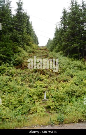 Der Kanada-USA-Grenze auf einem bewaldeten Hügel zwischen den Städten von Hyder, Alaska (unten) und Stewart, British Columbia. Stockfoto