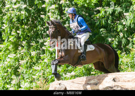 HOUGHTON, in Norfolk/ENGLAND - 27. Mai 2017: Houghton International Horse Trials 2017 Tim Cheffings reiten Dante VII. Einschließlich Cross Country, Eventing, Stockfoto