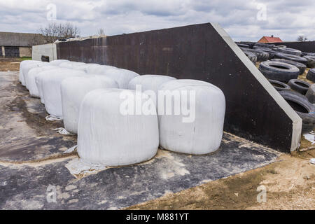 Rundballen Heu und Silage verpackt in einem weißen Membran. Futter für die Kühe im Winter in der Nähe der Silos pit gespeichert. Molkerei auf podlasien, Polen. Stockfoto