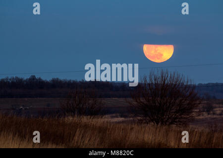 Große silberne leuchtende Mond close-up auf dunklen blauen Himmel mit vereinzelten Wolken. Neue Vollmond in der Nacht über Horizont mit Büschen und Leistungskabel lin Stockfoto