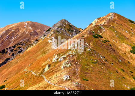 Polen, Tatra, Zakopane - Czerwone Wierchy, Malolaczniak, Goryczkowa Czuba und Posredni Wierch Goryczkowy peaks Stockfoto