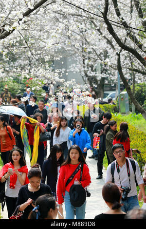 Wuhan, Hubei Provinz Chinas. 15 Mär, 2018. Menschen sehen Kirschblüten in Wuhan Universität in Wuhan, der Hauptstadt der Provinz Hubei in Zentralchina, 15. März 2018. Credit: Zhao Jun/Xinhua/Alamy leben Nachrichten Stockfoto