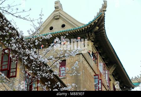 Wuhan, Hubei Provinz Chinas. 15 Mär, 2018. Menschen sehen Kirschblüten in Wuhan Universität in Wuhan, der Hauptstadt der Provinz Hubei in Zentralchina, 15. März 2018. Credit: Zhao Jun/Xinhua/Alamy leben Nachrichten Stockfoto