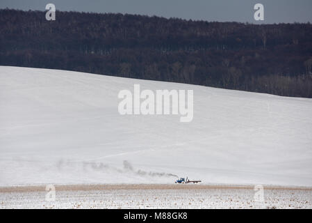 Traktor bei der Arbeit auf einem schneebedeckten Feld im frühen Frühling. Ackerland Stockfoto