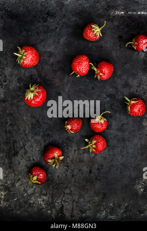 Stapel von Reifen Erdbeeren auf schwarzem Holz- Hintergrund mit kopieren. Top View Point Stockfoto