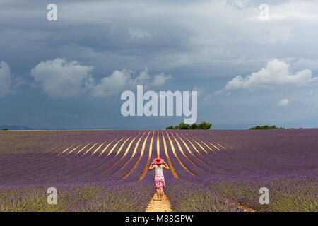 Frau in weiß blumen Kleidung mit einem rosa Hut in Lavendel Feld in der Nähe von Valensole, Provence-Alpes-Cote d'Azur, Frankreich Stockfoto