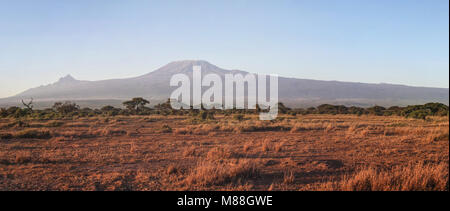 Amboseli National Park Panorama mit dem Kilimanjaro im Hintergrund Mount im Morgenlicht. Stockfoto