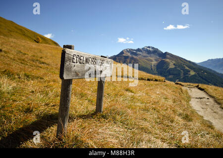 Herbst im Nationalpark Hohe Tauern, Edelweisswiese Begunitzen Stockfoto