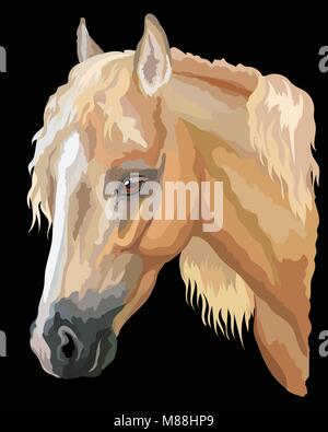 Farbige Portrait von Palomino Welsh Pony. Pferd Kopf mit langer Mähne im Profil isoliert Vector Illustration auf schwarzem Hintergrund Stock Vektor