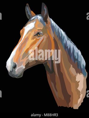 Farbige Porträt der Trakehner. Pferdekopf im Profil isoliert Vector Illustration auf schwarzem Hintergrund Stock Vektor