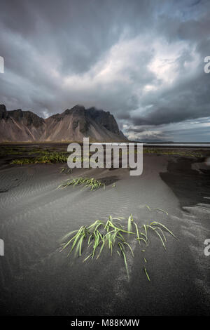 Vestrahorn Stockfoto