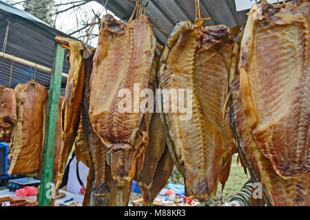 Die Spezialität der Fischmarkt Karpfen geräuchert und getrocknet. Stockfoto