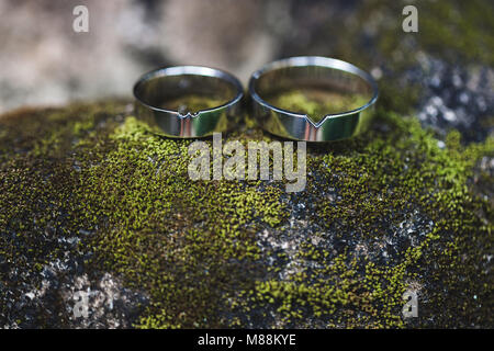 Zwei silberne Hochzeit Ringe closeup Makro Foto. Auf moosgrün Textur Stockfoto