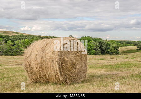 Runde, Tonne Ballen Heu in einem Feld mit einem bewölkten Himmel und einem Hauch von Blau Stockfoto