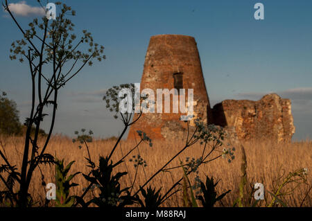 Norfolk Windmühle mit Blumen Stockfoto