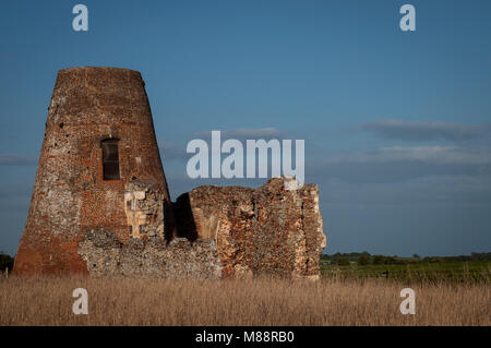 Norfolk-Windmühle Stockfoto