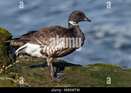 Nach Los Angeles Co., CA März 2010 Stockfoto