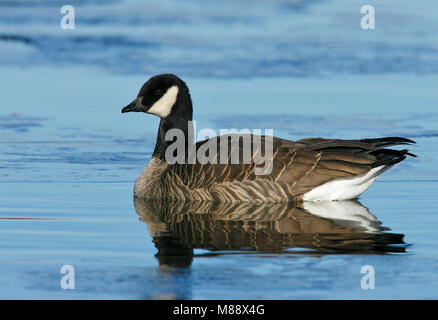 Nach Bernalillo Co., NM Dezember 2007 Stockfoto