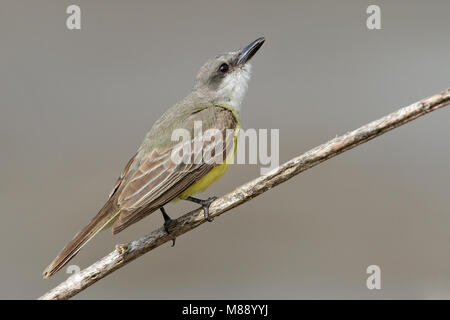 Nach Orange Co., CA Februar 2010 Stockfoto