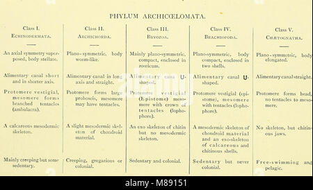 Elementare Lehrbuch der Zoologie (elektronische Ressource) (1901) (20164913898) Stockfoto