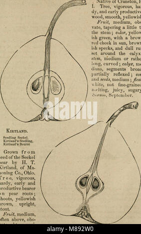 Elliott's Obst Buch; oder die amerikanische Frucht des Erzeugers Guide im Obstgarten und Garten. Ein compend der Geschichte, Formen der Vermehrung, Kultur, etc., von Obstbäumen und Sträuchern, mit Beschreibungen von (21263436752) Stockfoto