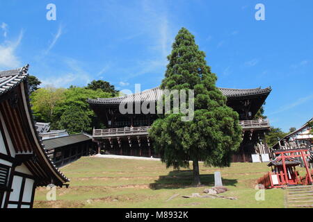 Blick auf die erstaunliche Architektur der Nigatsu-do Hall über den Todaiji Tempel in Nara, Japan Stockfoto