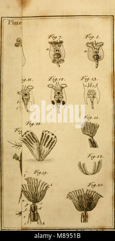 *Beschäftigung für das Mikroskop* (1764) ist eine Arbeit, die sich auf den Einsatz von Mikroskopen in der wissenschaftlichen Forschung konzentriert und Einblicke in die frühen Entwicklungen der Mikroskopie und ihre Anwendungen in Biologie und Medizin liefert. Stockfoto