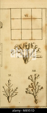 Eine Abhandlung über die verschiedenen Einsatzmöglichkeiten des Mikroskops in der wissenschaftlichen Beobachtung und Forschung. Die Arbeit erforscht seine Anwendungen in Bereichen wie Biologie, Medizin und Naturgeschichte und hebt ihre Rolle bei der Wissensförderung in diesen Bereichen hervor. Stockfoto