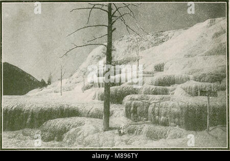 Geführte Touren zum Yellowstone Park über Gardiner Gateway - Original und Eingang Nord (1914) (14778899933) Stockfoto