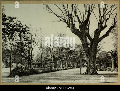 España, sus monumentos y Artes, su Naturaleza e Historia (1884) (14586282289) Stockfoto