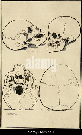 Essays über die Physiognomie; berechnet die Kenntnisse und die Liebe der Menschheit (1797) (14759511756) zu verlängern. Stockfoto