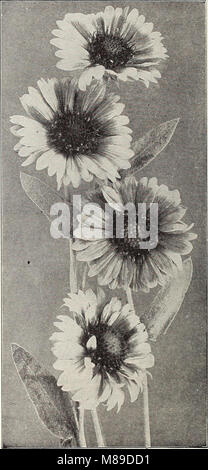 Hof und Garten - Frühjahr 1913 (1913) (14586567908) Stockfoto