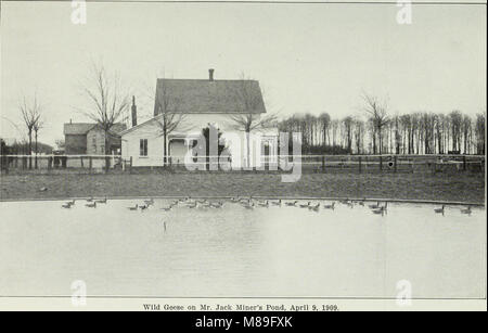 Abschlussbericht der Ontario Spiel und der Kommission für die Fischerei, 1909-1911. - (1912) (14565608587) Stockfoto