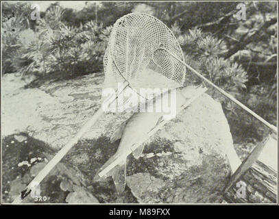 Abschlussbericht der Ontario Spiel und der Kommission für die Fischerei, 1909-1911. - (1912) (14749689864) Stockfoto