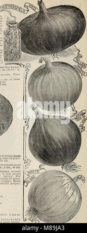 *Futterpflanzen und Gräser* (1897) enthält Informationen über verschiedene Arten von Futterpflanzen, einschließlich Gräser, Gemüse- und Blumensamen sowie Pflanzkartoffeln. Sie hebt ihre Verwendung in der Landwirtschaft und im Gartenbau hervor und konzentriert sich dabei auf ihre Rolle bei der Tierernährung, der Bodengesundheit und der Pflanzenproduktion. Stockfoto