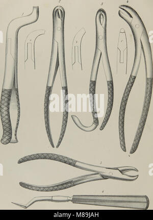 Pinzetten; die Anatomie, Physiologie und Pathologie des menschlichen Zähnen (1854) Stockfoto