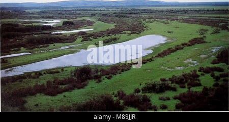 Wald Insekten und Pflanzenkrankheiten Bedingungen in den Vereinigten Staaten 1979 (1981) (20353347828) Stockfoto