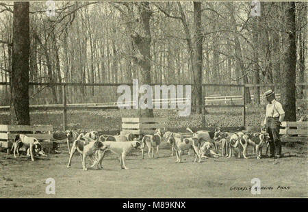 Fuchsjagd in Delaware County, Pennsylvania - und, den Ursprung und die Geschichte der Rose Tree Fox Hunting Club (1901) (14779396585) Stockfoto