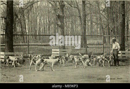 Fuchsjagd in Delaware County, Pennsylvania und Ursprung und Geschichte der Rose Tree Fox Hunting Club (1901) (14763958102) Stockfoto