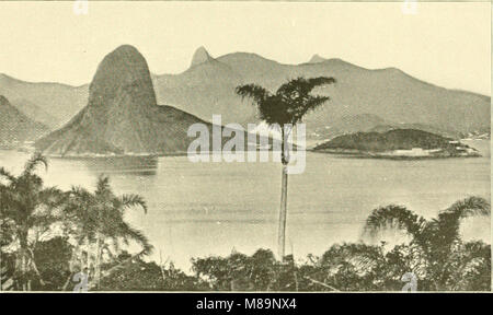 Von palm Gletscher; mit einem zwischenspiel - Brasilien, Bermuda, und Alaska; (1892) (14579532159) Stockfoto