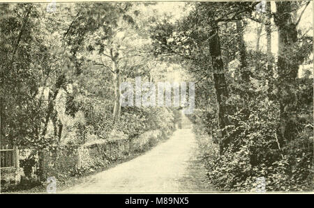 Von palm Gletscher; mit einem zwischenspiel - Brasilien, Bermuda, und Alaska; (1892) (14579543598) Stockfoto