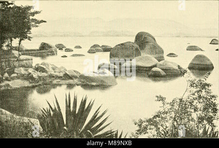 Von palm Gletscher; mit einem zwischenspiel - Brasilien, Bermuda, und Alaska; (1892) (14786046933) Stockfoto
