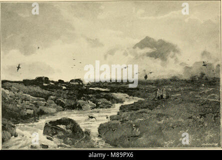 Federwild und Schießen - Skizzen - Darstellung der Gewohnheiten, Formen der Erfassung, Phasen der Gefieder und die hybirds und Sorten, die unter ihnen auftreten (1894) (14563110330) Stockfoto