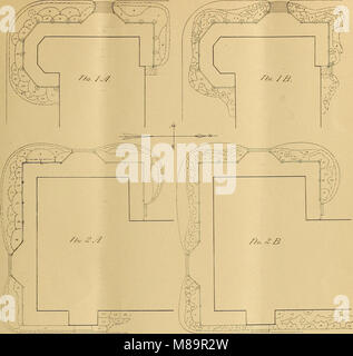 Garten und Wald; ein Journal der Gartenbau, Landschaft, Kunst und Forstwirtschaft (1891) (14597427009) Stockfoto