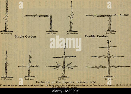 Garten; der Hobbygärtner 'Handbuch. Ausgiebig mit über 275 Lehr Pläne und Diagramme und reproduzierten Fotografien illustriert, die alle ausdrücklich für diesen Standard Text Book (1920) (14576805639) Stockfoto